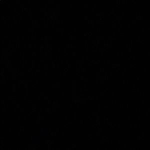 Meet your Posher, Ali